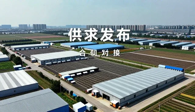 名录平台使用中的选型关注点分析